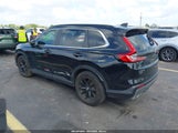 Miniaturka zdjęcia 3