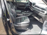 Kia Telluride S 5XYP64HCXLG059445 снимка