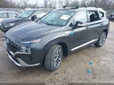 Hyundai Santa Fe Calligraphy 5NMS5DAL8MH367695 снимка