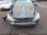 Honda Accord 2.4 Lx 1HGCM55495A062882 photo
