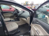Miniaturka zdjęcia 5