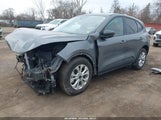 Ford Escape Active 1FMCU0GN3SUA57982 снимка