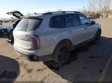 Kia Telluride Sx Prestige X-Line 5XYP5DGCXRG462130 fotografie