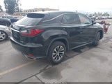 Miniaturka zdjęcia 4