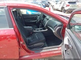 Miniaturka zdjęcia 5