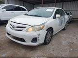 Toyota Corolla Le JTDBU4EE6BJ090499 fotografie