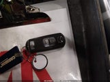 Miniaturka zdjęcia 11