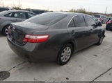 Toyota Camry Xle JTNBE46K673083948 снимка