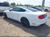 Ford Mustang Ecoboost Fastback 1FA6P8TH0P5111821 photo