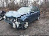 Subaru Forester 2.5X JF2SHABC0DH431882 снимка