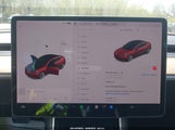 Miniaturka zdjęcia 7