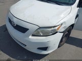 Toyota Corolla Le 2T1BU4EE9AC246285 fotografie
