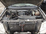 Miniaturka zdjęcia 6