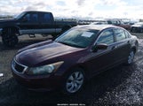 Honda Accord 2.4 Ex-L 1HGCP26878A058227 photo