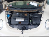 Volkswagen New Beetle Gls 3VWCK21Y83M314887 снимка