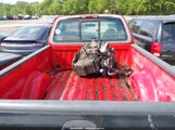 Ford F-150 Standard Standard/Xl/Xlt 1FTDF1822VKC91348 photo
