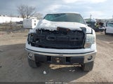 Ford F-150 Fx4/King Ranch/Lariat/Platinum/Xl/Xlt 1FTPW14V19FB19677 photo