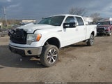 Ford F-150 Fx4/King Ranch/Lariat/Platinum/Xl/Xlt 1FTPW14V19FB19677 photo
