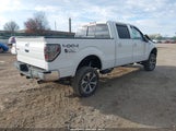 Ford F-150 Fx4/King Ranch/Lariat/Platinum/Xl/Xlt 1FTPW14V19FB19677 photo