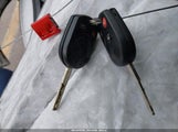 Miniaturka zdjęcia 11