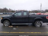Ford F-150 Stx 1FTFX1EFXDFD87460 fotografie