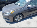 Hyundai Sonata Sport 5NPE34AF4HH484714 снимка