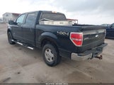 Ford F-150 Xlt 1FTFW1ETXCFA10117 снимка