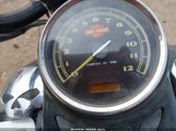 Harley-Davidson Flstsb 1HD1JM519AB021976 fotografie