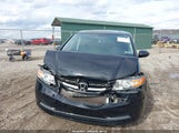 Honda Odyssey Ex-L 5FNRL5H67GB130261 снимка