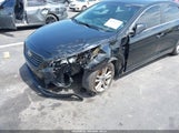 Hyundai Sonata 5NPE24AF5HH513754 снимка