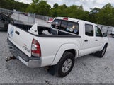 Toyota Tacoma Prerunner V6 3TMJU4GNXAM100929 photo