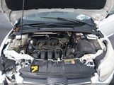 Ford Focus S 1FADP3E23DL330363 снимка