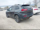 Jeep Cherokee Trailhawk 1C4PJMBS4EW174210 снимка