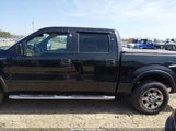 Ford F-150 Fx4/Harley-Davidson/King Ranch/Lariat/Platinum/Xl/Xlt 1FTFW1EV4AKB34051 снимка