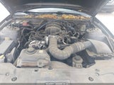 Ford Mustang V6/V6 Premium 1ZVBP8AN9A5147044 fotografie