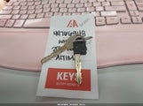 Miniaturka zdjęcia 11