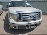 Ford F-150 Xlt 1FTEX1CM5BFB66553 снимка