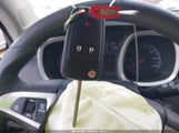 Miniaturka zdjęcia 11