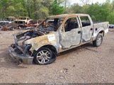 Ford F-150 Fx4/King Ranch/Lariat/Platinum/Xl/Xlt 1FTPW14V79FA57640 photo