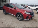 Miniaturka zdjęcia 1