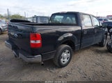 Ford F-150 60Th Anniversary/Fx2/Xl/Xlt 1FTRW12W58FA35462 photo
