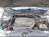 Honda Odyssey Ex-L 5FNRL18954B037317 снимка