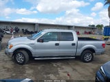 Ford F-150 Xlt 1FTEW1CM9DKD16838 снимка