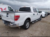 Ford F-150 Fx2 Sport/Xl/Xlt 1FTEW1C86AKA27074 photo