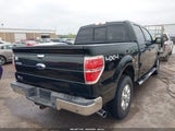 Ford F-150 Xlt 1FTFW1ET2DKE50390 снимка