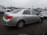 Toyota Corolla Le 1NXBU40E79Z098297 снимка