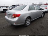 Toyota Corolla Le 1NXBU40E79Z098297 снимка