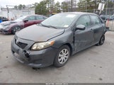 Toyota Corolla Le 1NXBU4EE8AZ349129 снимка