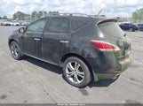 Nissan Murano Le JN8AZ1MUXBW054357 снимка