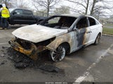 Hyundai Sonata Se 5NPE24AF8HH558218 снимка